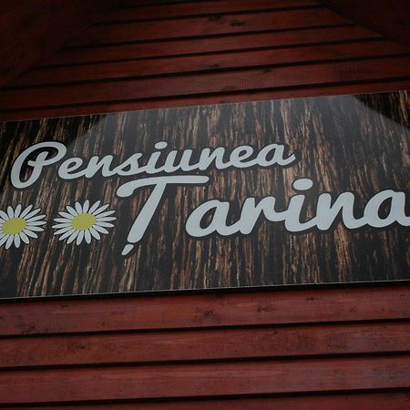 Pensiunea Tarina Suncuius Exterior foto