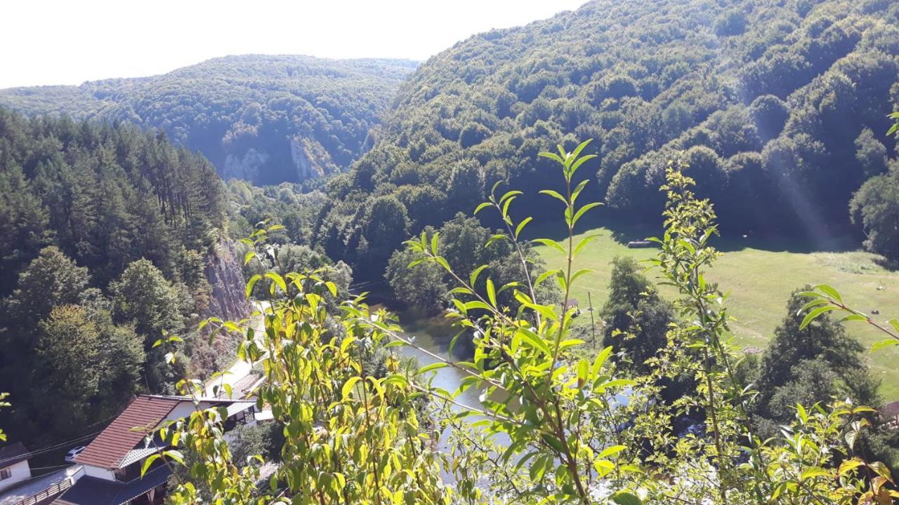 Pensiunea Tarina Suncuius Exterior foto