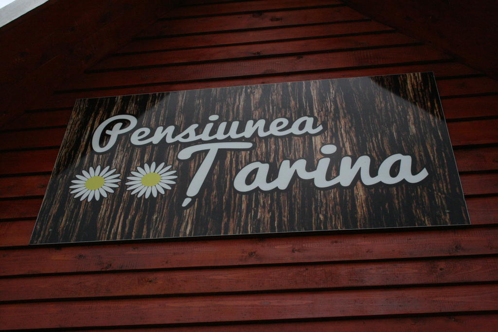 Pensiunea Tarina Suncuius Exterior foto